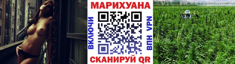 мориарти как зайти  как найти закладки  Сим  Марихуана индика 